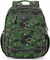 Boys Backpack for Elementary School, Backpack for Boys 5-8, Lightweight Kids Backpacks for Boys(Green Dinosaur)